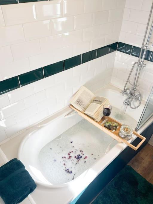 *Stunning* The Botanist Rest Ventnor Iow Villa Екстериор снимка