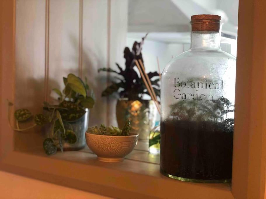 *Stunning* The Botanist Rest Ventnor Iow Villa Екстериор снимка