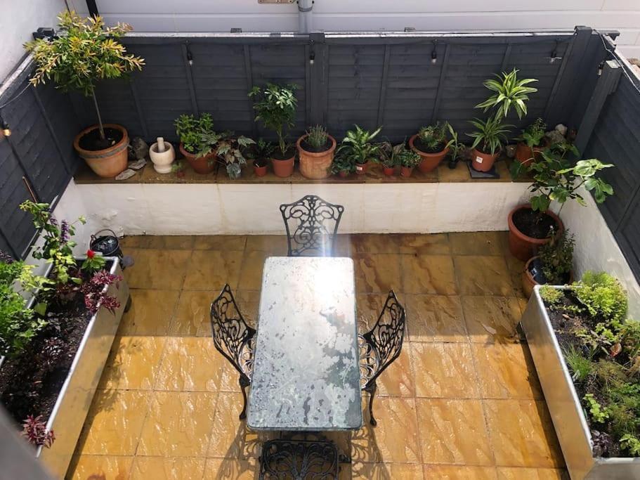 *Stunning* The Botanist Rest Ventnor Iow Villa Екстериор снимка
