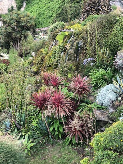 *Stunning* The Botanist Rest Ventnor Iow Villa Екстериор снимка