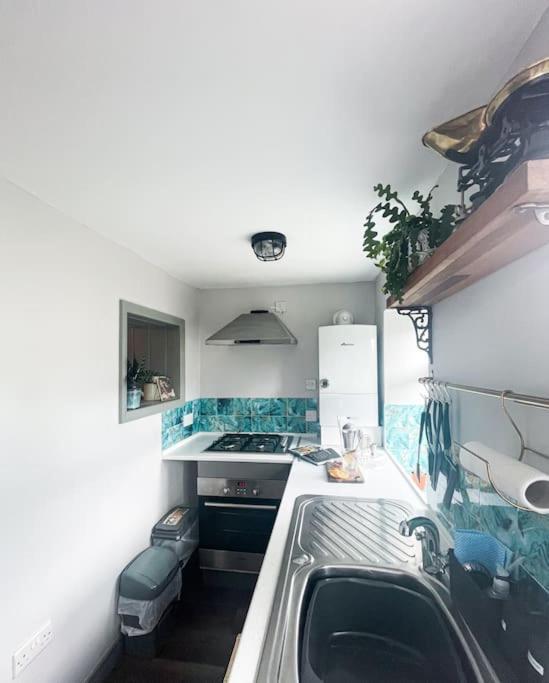 *Stunning* The Botanist Rest Ventnor Iow Villa Екстериор снимка