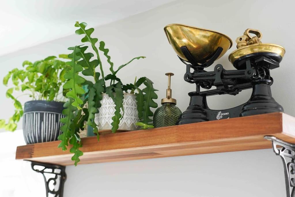 *Stunning* The Botanist Rest Ventnor Iow Villa Екстериор снимка